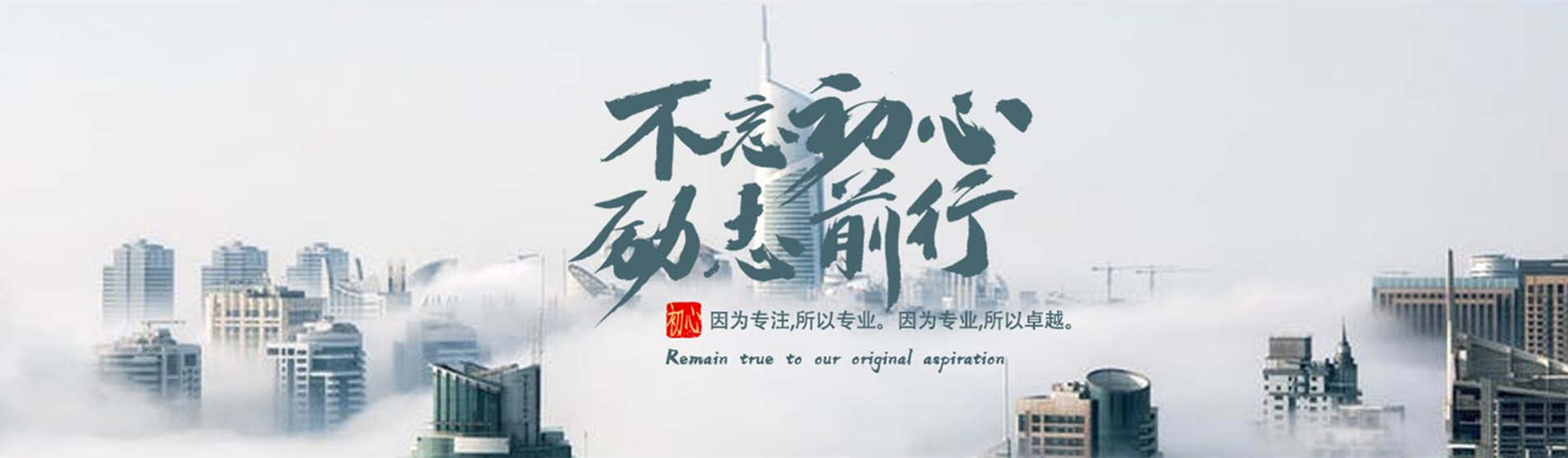 崇左网站搭建公司